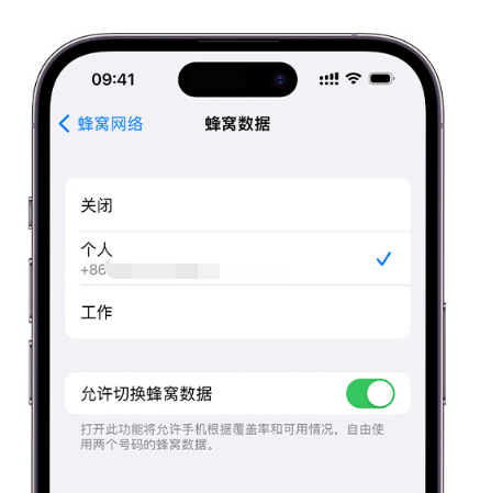 齐齐哈尔苹果维修服务分享如何在iPhone上使用双卡 